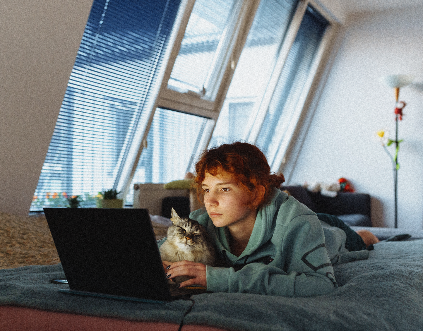 Single Course + Enrollment Fee